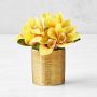 Gold Potted Faux Yellow Orchid Floral Arrangement, Mini