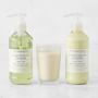 Williams Sonoma Lemongrass Ginger Guest Set