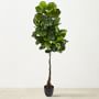 Faux Indoor Real Touch Fiddle Leaf Tree, 64"