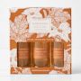 Williams Sonoma Kitchen Essentials Kit Pumpkin Spice