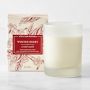 Williams Sonoma Winter Berry Candle