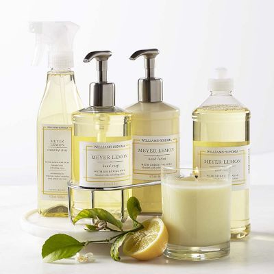 Outlet Williams Sonoma Meyers lemon dish soap refill