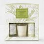 Williams Sonoma Lemongrass Ginger Guest Set