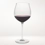 Williams Sonoma Reserve Grand Cru Glasses, Set of 2