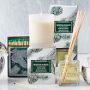 Williams Sonoma Winter Forest Candle