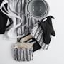 Williams Sonoma Classic Stripe Oven Mitt