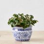 Blue &amp; White Ceramic Planter, Small