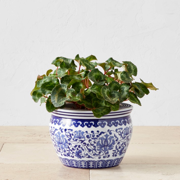 Blue &amp; White Ceramic Planter, Small