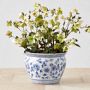 Blue &amp; White Ceramic Planter, Large