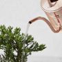 Williams Sonoma Mini Copper Watering Can