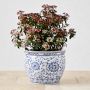 Blue &amp; White Ceramic Planter, Extra Large