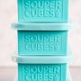 Souper Cubes Freezer Tray with Lid