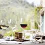 Williams Sonoma Estate Stemware Collection