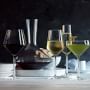 Schott Zwiesel Pure Coupe Glasses