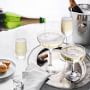 Schott Zwiesel Pure Stemless Champagne Flutes