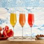 Open Kitchen by Williams Sonoma Champagne Flutes