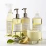 Williams Sonoma Meyer Lemon Essential Oils Collection