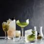 Williams Sonoma Reserve Highball Glasses