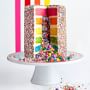 Flour Shop Rainbow Explosion Cake Kit