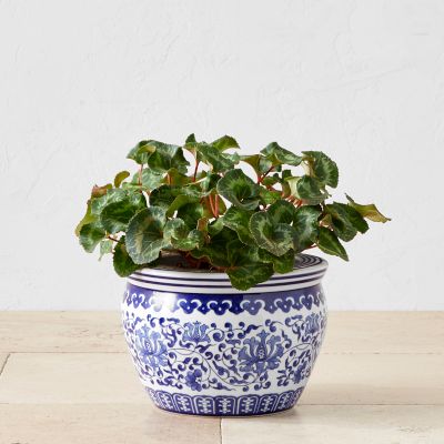 Oriental Blue White Monogram Porcelain Storage and Planter store | Home Decoration | Modern Oriental Pot