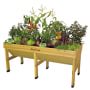 VegTrug&#8482; Raised Bed Planter, Medium