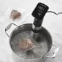 Anova Precision® Pro Sous Vide Cooker