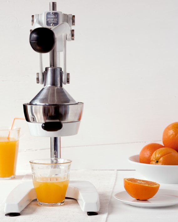 OrangeX Juicer White