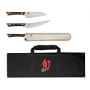 Shun Kanso 4-Piece BBQ Knife Set