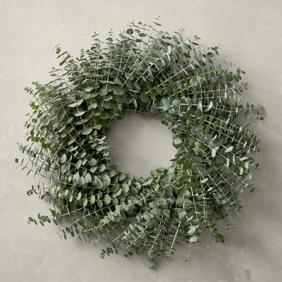 Baby Eucalyptus Door Wreath Williams Sonoma