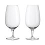 Waterford Craft Brew Stem Beer Glasses, Set of 2
