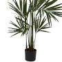 Faux Kentia Palm Silk Tree, 84&quot;