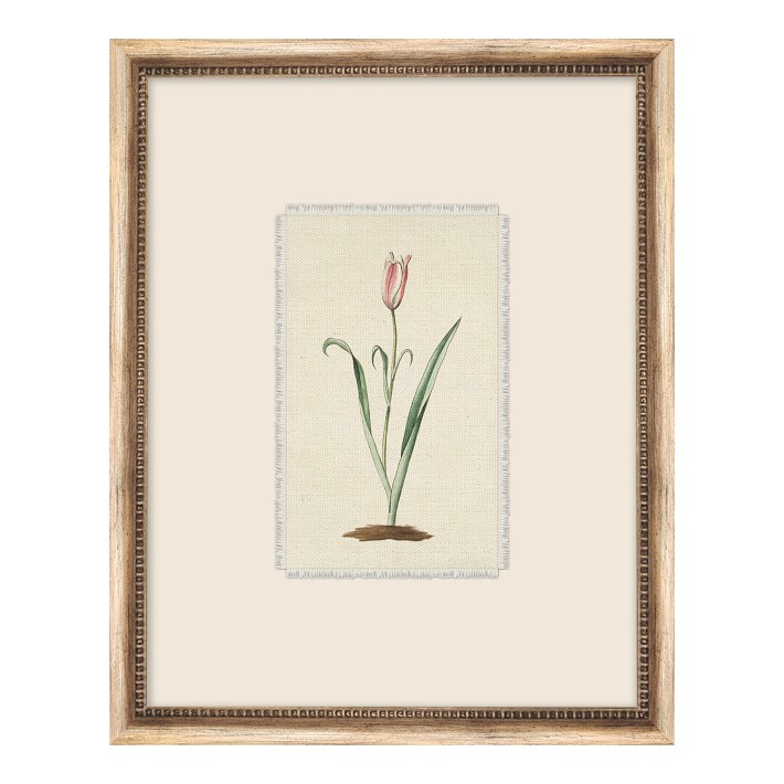 Botanist Textile 1