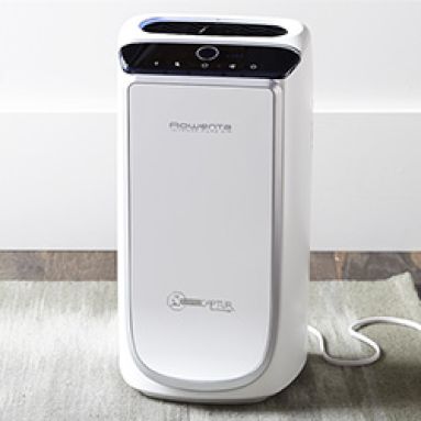 Fans &amp; Air Purifiers