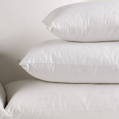 Pillow Inserts