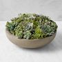 Jeff Leatham Faux Succulents in Round Bowl, 6"