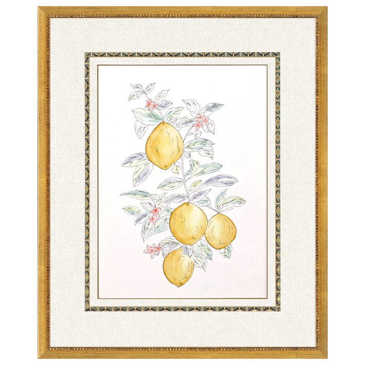 Lemon III Framed Art