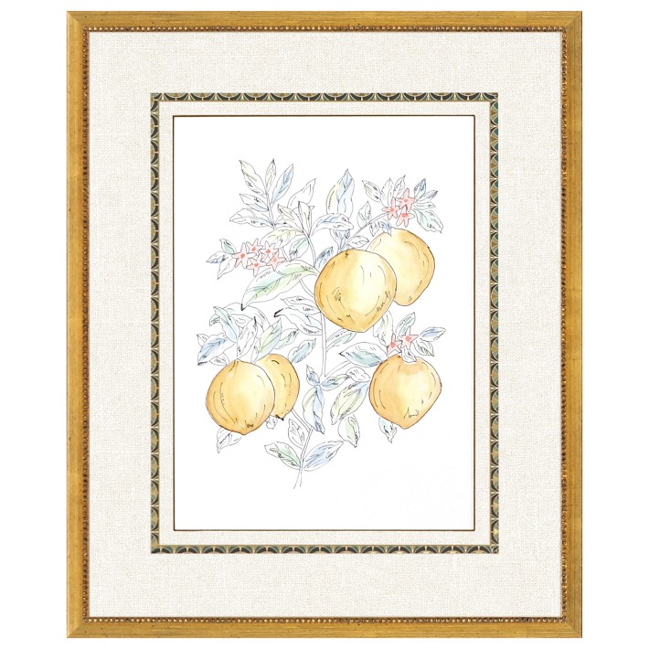 Lemon I Framed Art