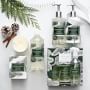 Williams Sonoma Winter Forest Dish Soap