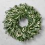 Olive &amp; Greenery Holiday Live Wreath &amp; Garland