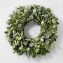 Jeff Leatham x Williams Sonoma Sonoma Winter Live Wreath &amp; Garland