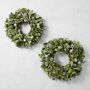 Jeff Leatham x Williams Sonoma Sonoma Winter Live Wreath &amp; Garland