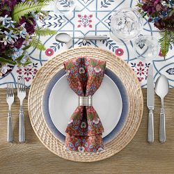 Morris &amp; Co. x Williams Sonoma Eye Bright Napkins, Set of 4