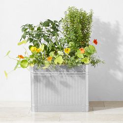 Vintage Galvanized Raised Planter, 22" x 18"