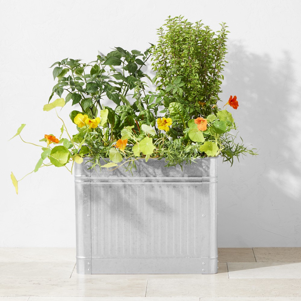 Vintage Galvanized Raised Planter, 22" x 18"