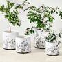 Honeycomb Ceramic Planter Collection