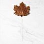 Williams Sonoma Chocolate Leaf Lollipop