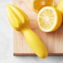 Williams Sonoma Citrus Reamer