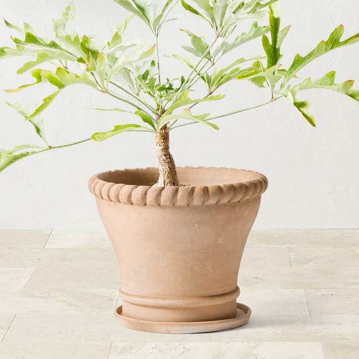 (1) Large Terracotta Rope Planter by Williams Sonoma