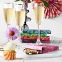Williams Sonoma Chocolate Bar Complete Set