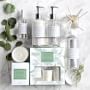 Williams Sonoma Rosemary Eucalyptus Fragrance Diffuser